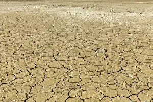 Cracked Earth Texture Prints: Cracked earth background texture