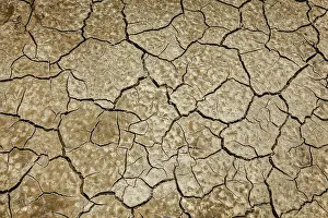 Cracked Earth Texture Prints: Cracked earth background texture