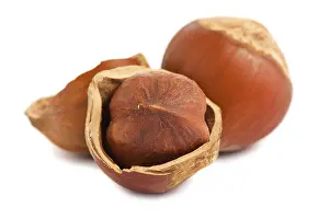 Plain Colored Background Nuts Prints: Cracked and full hazelnuts on a white background