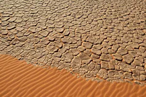 Deserted African Nature Reserve Prints: Cracked mud patterns on the playa