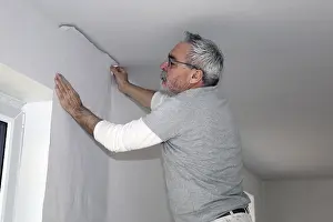 House Building Construction Prints: Craftsman (painter) for wallpapering work