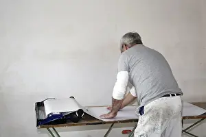Craftsman Painter Prints: Craftsman (painter) for wallpapering work