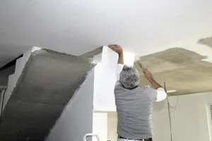 Construction Site Worker Prints: Craftsman (painter) for wallpapering work