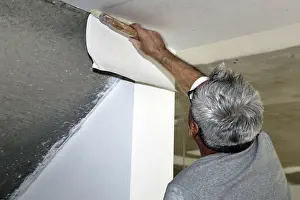 House Building Construction Prints: Craftsman (painter) for wallpapering work
