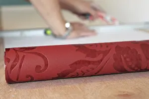 Craftsman Painter Prints: Craftsman (painter) for wallpapering work