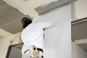 One Person Construction Work Prints: Craftsman (painter) for wallpapering work