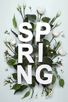 Pastel Blue Background Prints: Creative layout from Paper word Spring
