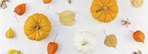 Autumn Composition Prints: Creative Top view flat lay autumn composition