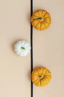 Autumn Composition Prints: Creative Top view flat lay autumn composition