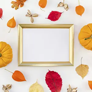 Autumn Composition Prints: Creative Top view flat lay autumn composition