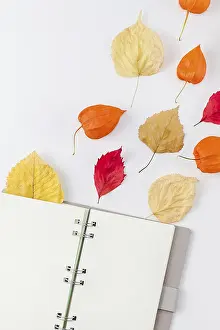 Autumn Composition Prints: Creative Top view flat lay autumn composition