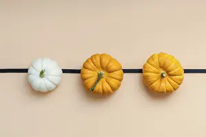Autumn Composition Prints: Creative Top view flat lay autumn composition