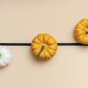 Thanksgiving Prints: Autumn Print: Flat Lay Composition with Pumpkins and Colors