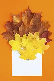 Thanksgiving Prints: Autumn Print with Dried Leaves on Orange Background