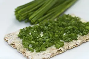 Close Up Food Prints: Crispbread with chives