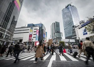 Zebra Crossing Prints: Crowd crossing zebra crossing on a large intersection