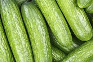 Cucumber Background Prints: Cucumbers Cucumber Vegetable Background from above