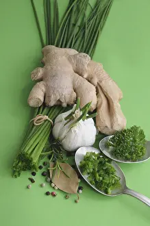 Culinary Herbs Prints: Culinary herbs and spices, ginger