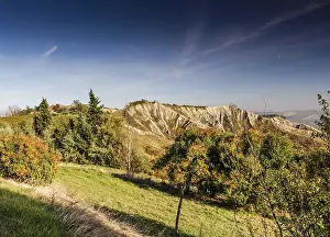 Italian Countryside Prints: Cultivated fields of red
