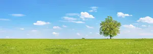 Central European Landscape Photo Prints: Cultivated landscape in spring