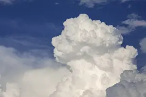 Cloud Formations In Nature Prints: Cumulus cloud