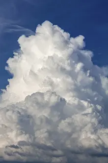 Cloudy Mood Prints: Cumulus cloud