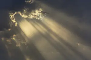 Cumulonimbus Cloud Formation Prints: Cumulus cloud and rays of sunlight in the evening
