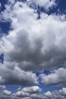 Weather Forecast Images Prints: Cumulus clouds