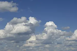 Cloudy Weather Prints: Cumulus clouds