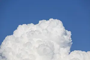 Fair Weather Clouds Prints: Cumulus Clouds