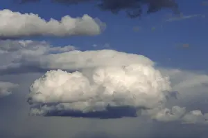 Fair Weather Cumulus Clouds Prints: Cumulus clouds, Altocumulus floccus