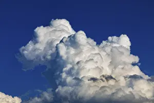 Blue Sky Prints: Cumulus clouds in the blue sky