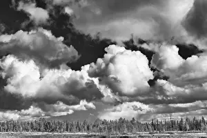 UNESCO World Heritage Site Lapland Prints: Cumulus clouds over forest area