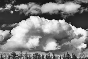 Blue Sky Weather Forecast Prints: Cumulus clouds over forest area