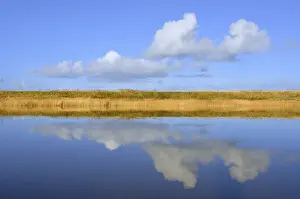 North Sea Coastal Scenery Prints: Cumulus clouds reflected in water