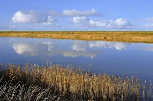Northern Germany Coastal Scenery Prints: Cumulus clouds reflected in water