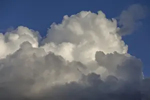 Cumulus Humilis Clouds Prints: (Cumulus) clouds y
