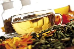 Medicinal Plants Prints: Curative or medicinal tea