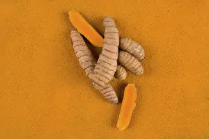 Alternative Medicine Nutrition Prints: Curcumin root and turmeric spice background from above
