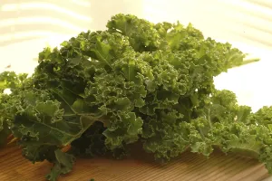 Leafy Green Vegetables Prints: Curly kale