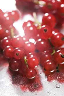 Balanced Diet Grocery List Prints: Currants