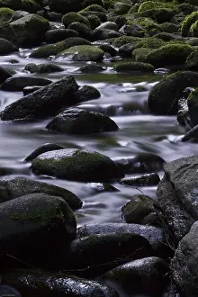 Uninhabited Waterscape Prints: Current over stones