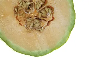 Orange Colored Fruits Prints: Cut Charentais melon