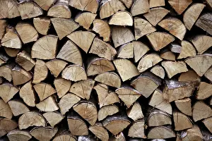 Firewood Stack Prints: Cut firewood stack logs as pattern background