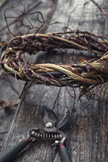 Deciduous Tree Crown Prints: Cut grape branches twisted into crown manually