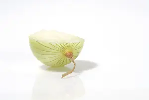 Studio Shot Vegetable Prints: Cut through onion
