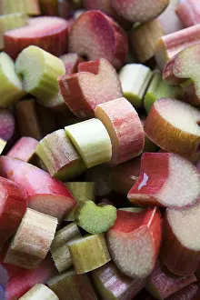 Close Up Rhubarb Prints: Cut rhubarb in detail