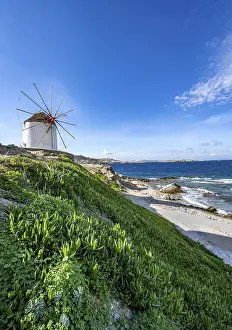 Aegean Sea Windmill Prints: Cycladic windmill on the coast