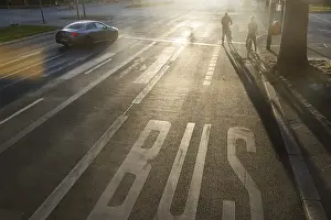 Cycle Path Germany Prints: Cycle path against the light. Marking on the road
