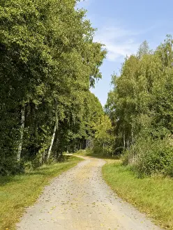 East Germany Prints: Cycle path and sandy path, Schlepzig